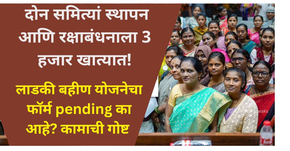 Ladki Bahin Yojana form pending issue