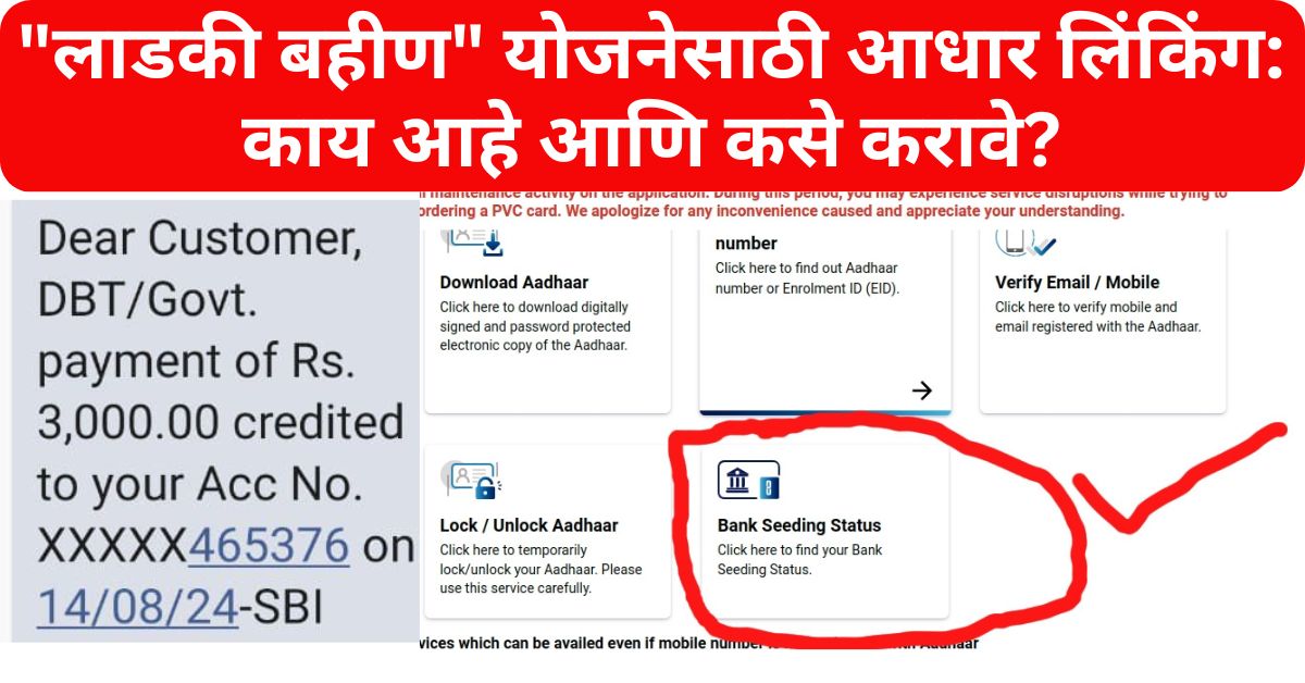 Ladki Bahin Yojana Aadhar Link