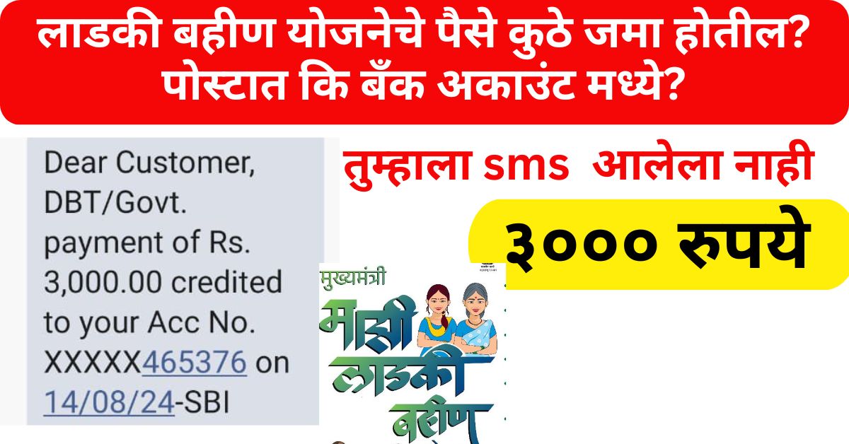 Ladki Bahin Yojana Check Payment Status