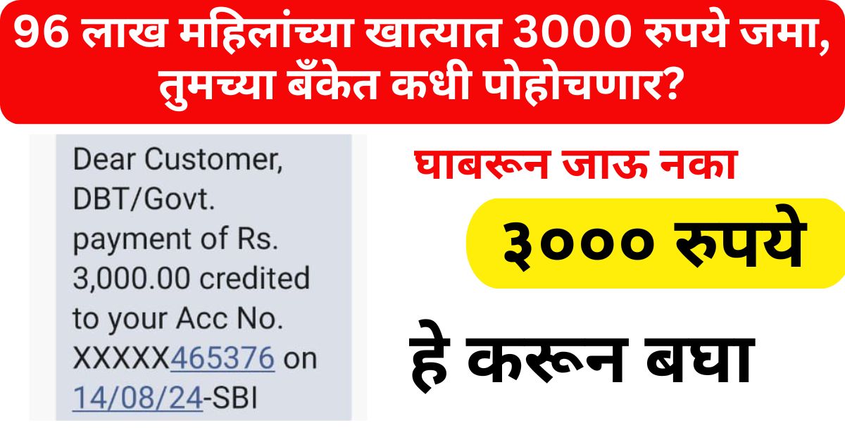 Ladki Bahin Yojana Status